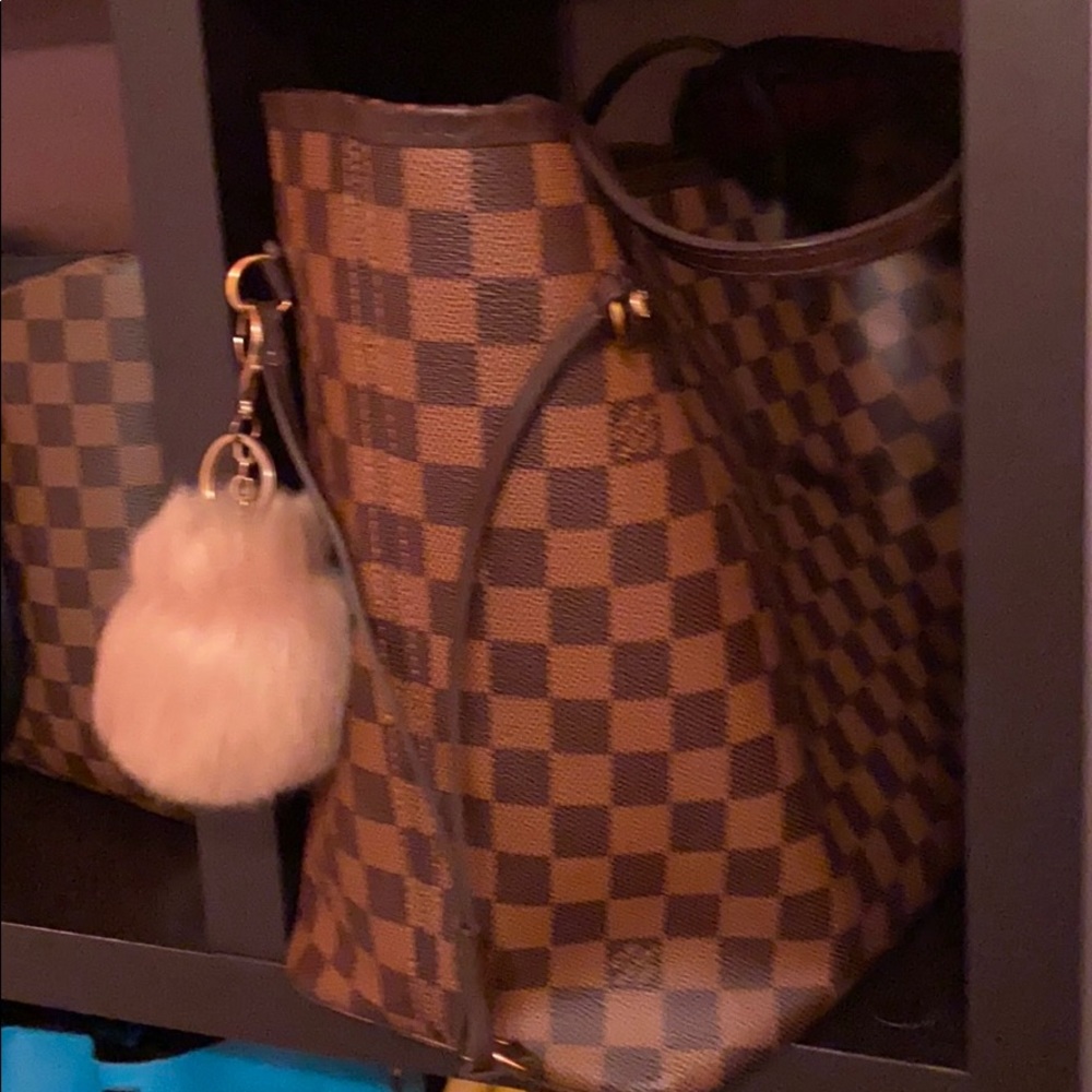 LV Bag